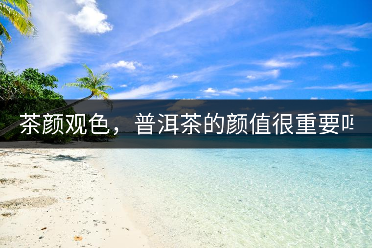 茶顏觀色，普洱茶的顏值很重要嗎？