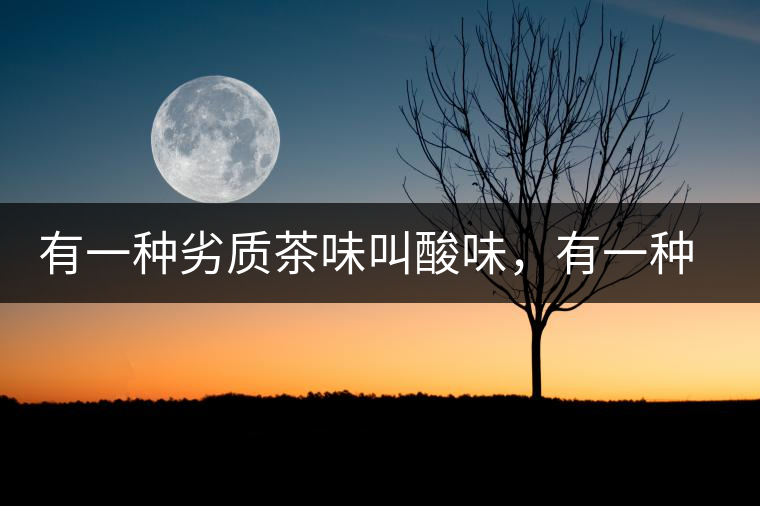 有一種劣質(zhì)茶味叫酸味，有一種優(yōu)質(zhì)茶味也叫酸味