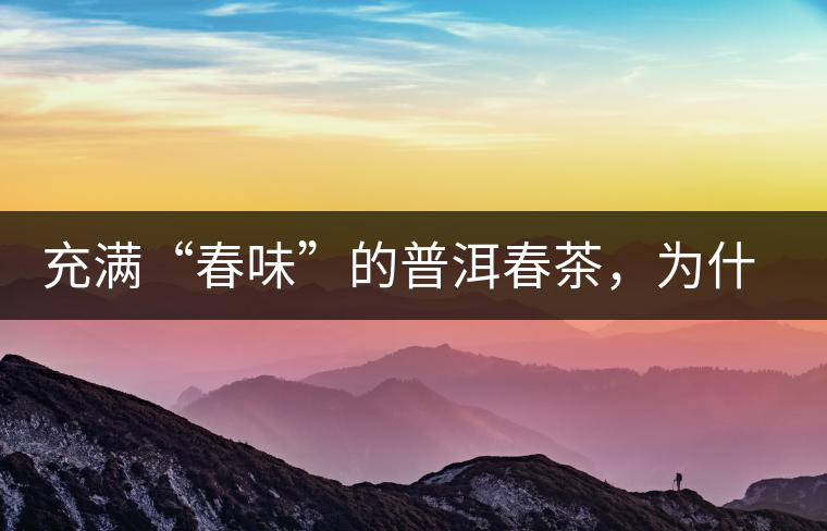 充滿“春味”的普洱春茶，為什么值得期待？