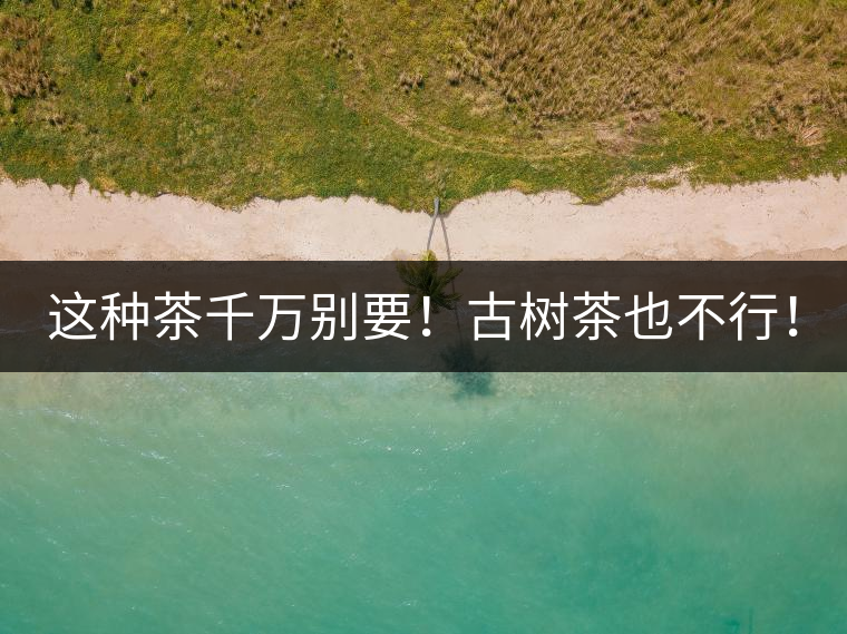 這種茶千萬別要！古樹茶也不行！