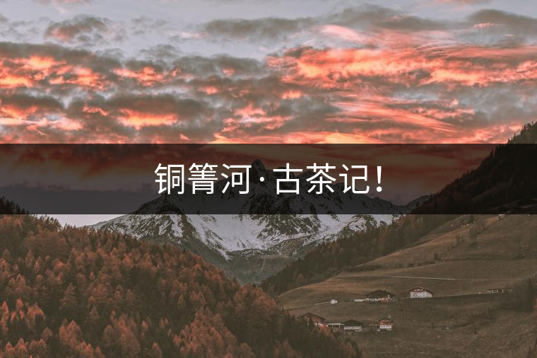 銅箐河·古茶記！