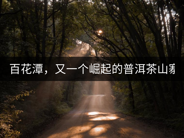 百花潭，又一個(gè)崛起的普洱茶山寨！