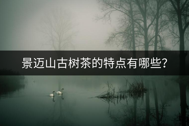景邁山古樹茶的特點有哪些？