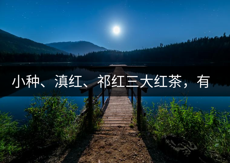 小種、滇紅、祁紅三大紅茶，有何區(qū)別