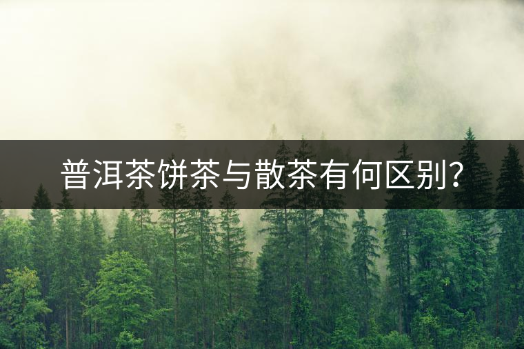 普洱茶餅茶與散茶有何區(qū)別？