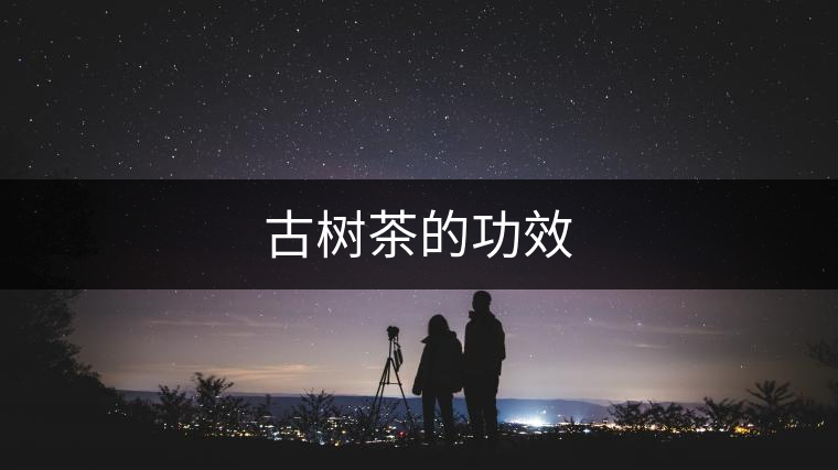 古樹茶的功效