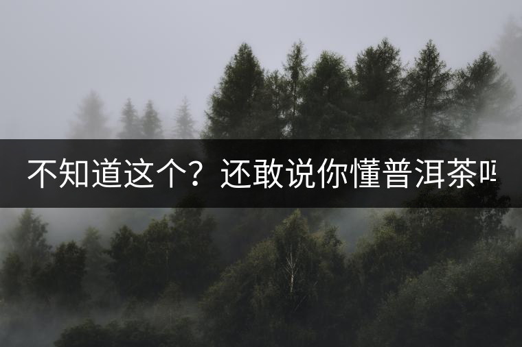 不知道這個(gè)？還敢說你懂普洱茶嗎？