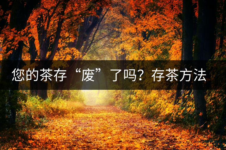 您的茶存“廢”了嗎？存茶方法與技巧，把香留住！