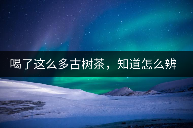 喝了這么多古樹(shù)茶，知道怎么辨別嗎？