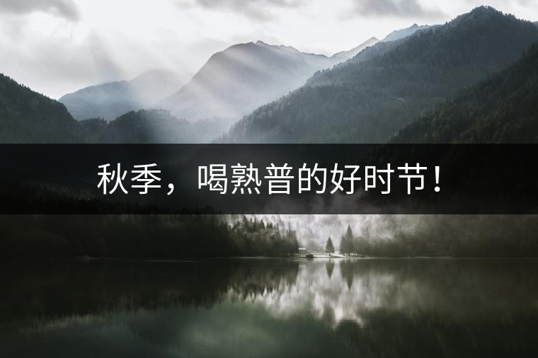 秋季，喝熟普的好時節(jié)！