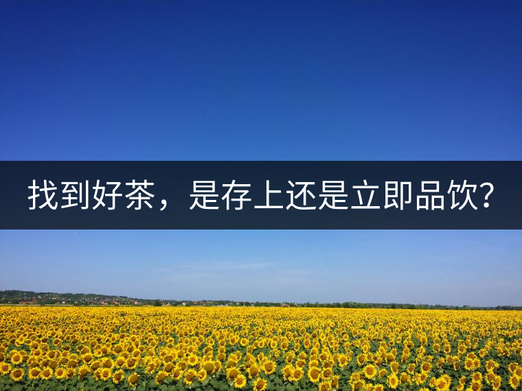 找到好茶，是存上還是立即品飲？