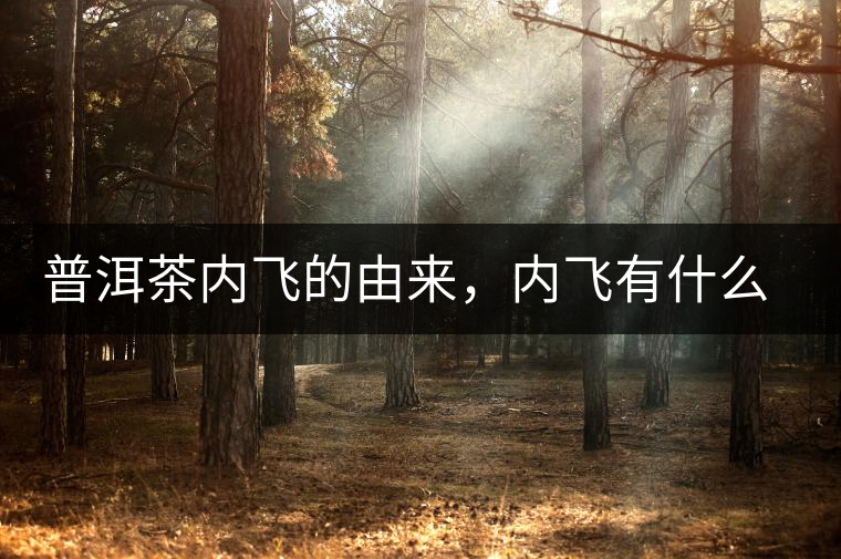 普洱茶內(nèi)飛的由來，內(nèi)飛有什么作用？