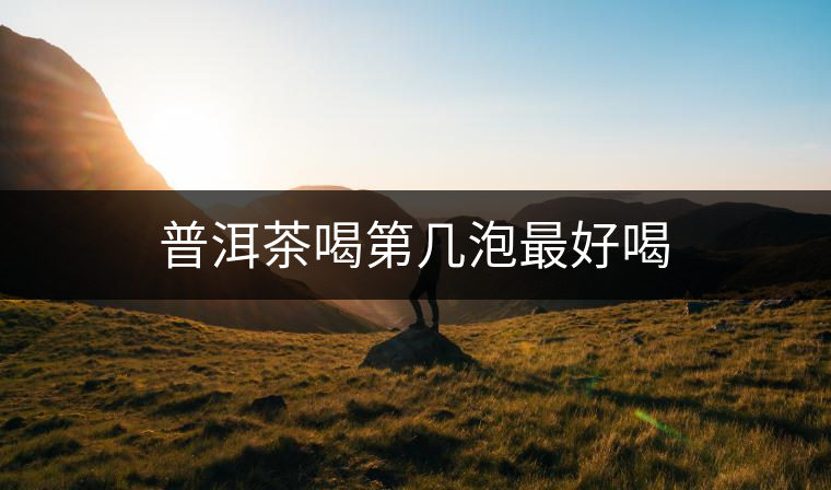 普洱茶喝第幾泡最好喝 普洱茶喝第幾泡最好喝