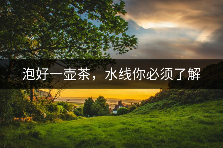 泡好一壺茶，水線你必須了解