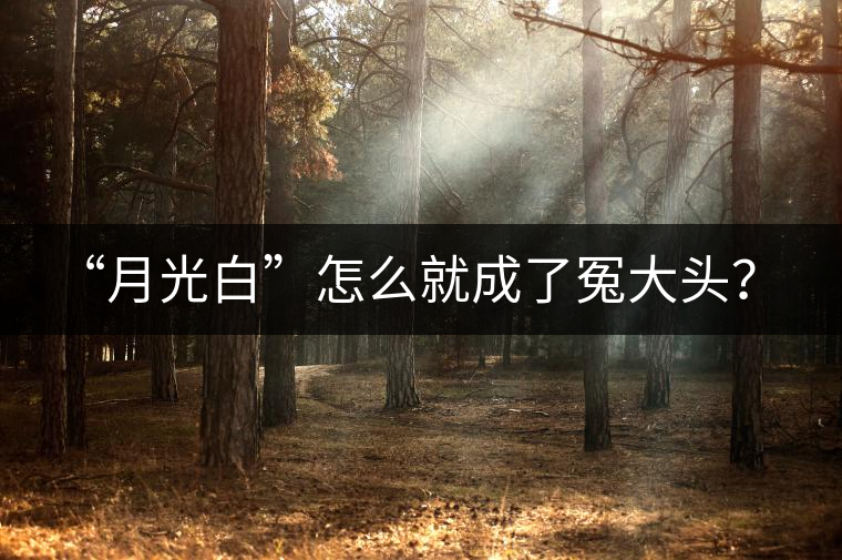 “月光白”怎么就成了冤大頭？