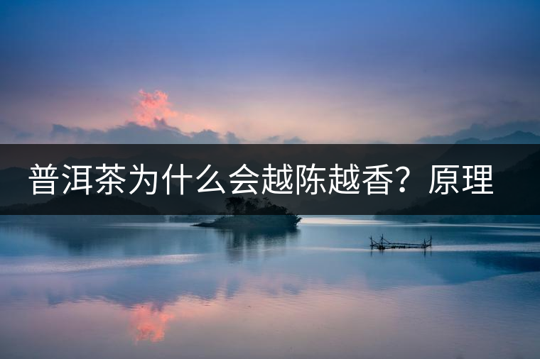 普洱茶為什么會(huì)越陳越香？原理是什么？