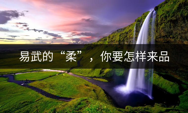 易武的“柔”，你要怎樣來品