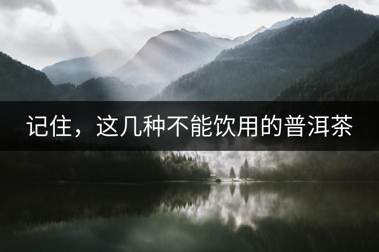 記住，這幾種不能飲用的普洱茶