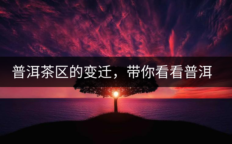 普洱茶區(qū)的變遷，帶你看看普洱茶地域分布