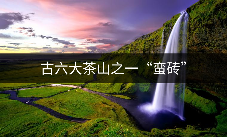 古六大茶山之一“蠻磚”