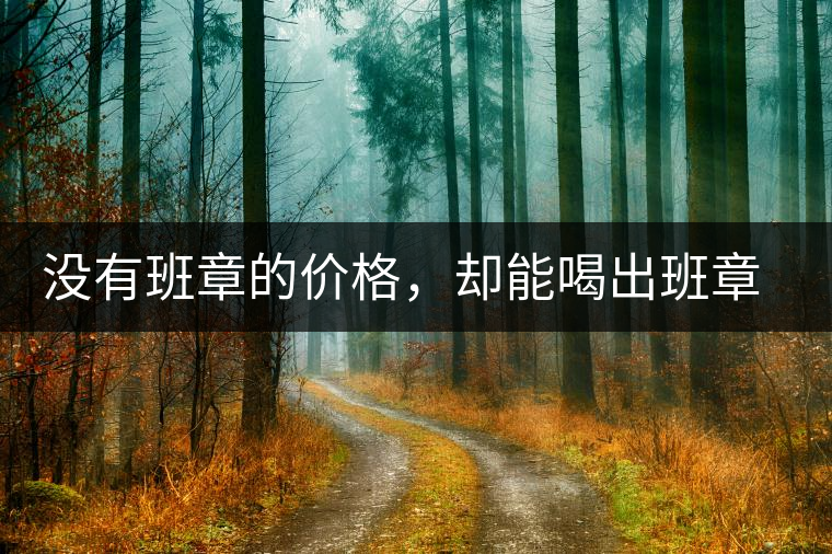 沒(méi)有班章的價(jià)格，卻能喝出班章的感覺(jué)