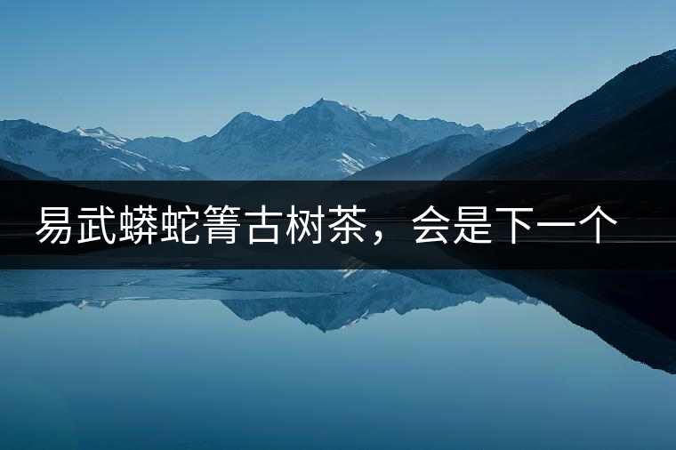 易武蟒蛇箐古樹茶，會(huì)是下一個(gè)銅箐河嗎？