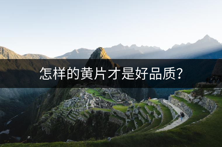 怎樣的黃片才是好品質？