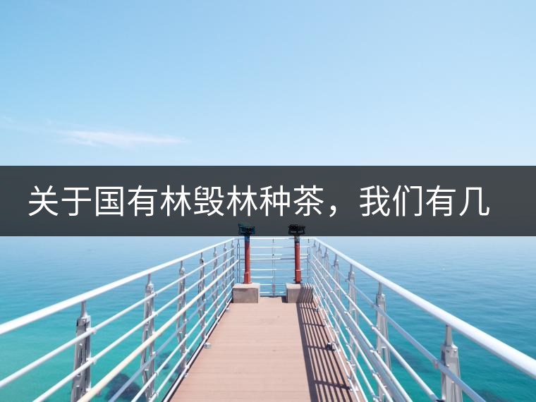 關(guān)于國(guó)有林毀林種茶，我們有幾點(diǎn)不得不說(shuō)