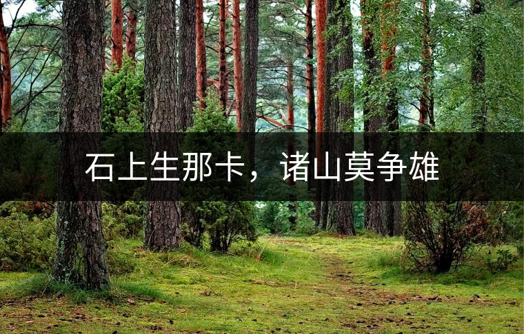 石上生那卡，諸山莫爭(zhēng)雄