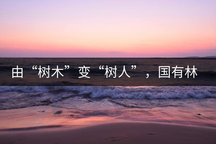 由“樹木”變“樹人”，國(guó)有林普洱茶為什么越來(lái)越受歡迎？