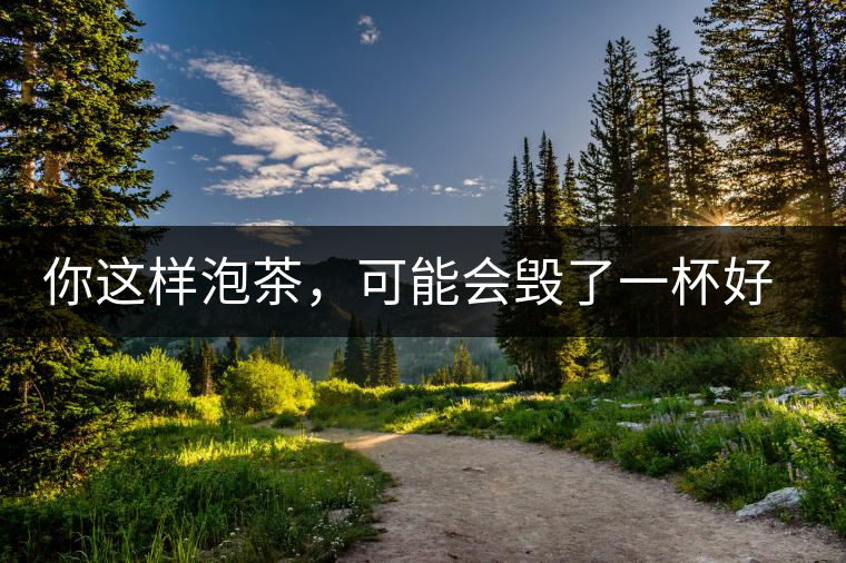 你這樣泡茶，可能會毀了一杯好茶