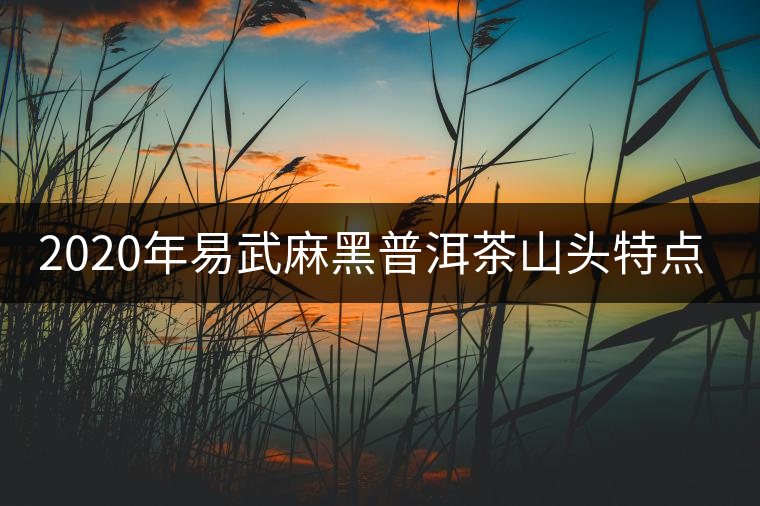 2020年易武麻黑普洱茶山頭特點(diǎn)介紹