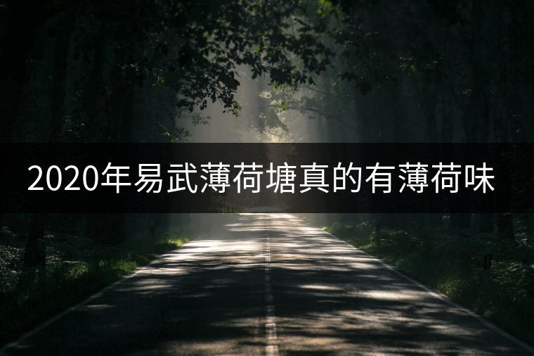 2020年易武薄荷塘真的有薄荷味嗎? 2020年易武薄荷塘真的有薄荷味嗎?