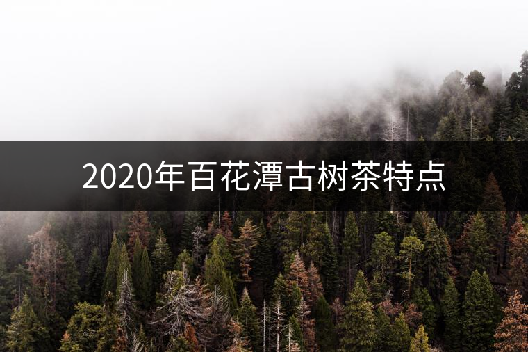2020年百花潭古樹(shù)茶特點(diǎn)