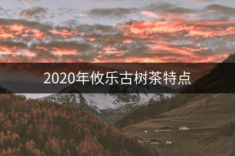 2020年攸樂古樹茶特點