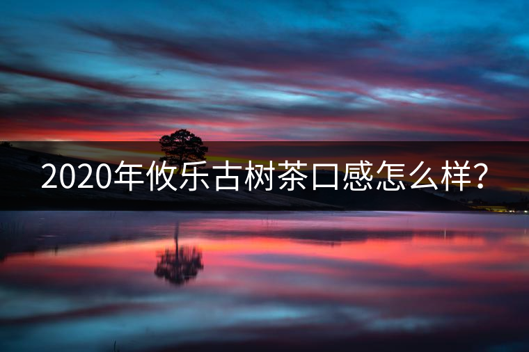 2020年攸樂古樹茶口感怎么樣？