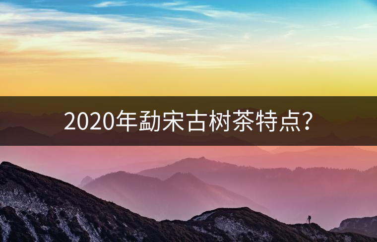 2020年勐宋古樹茶特點(diǎn)？