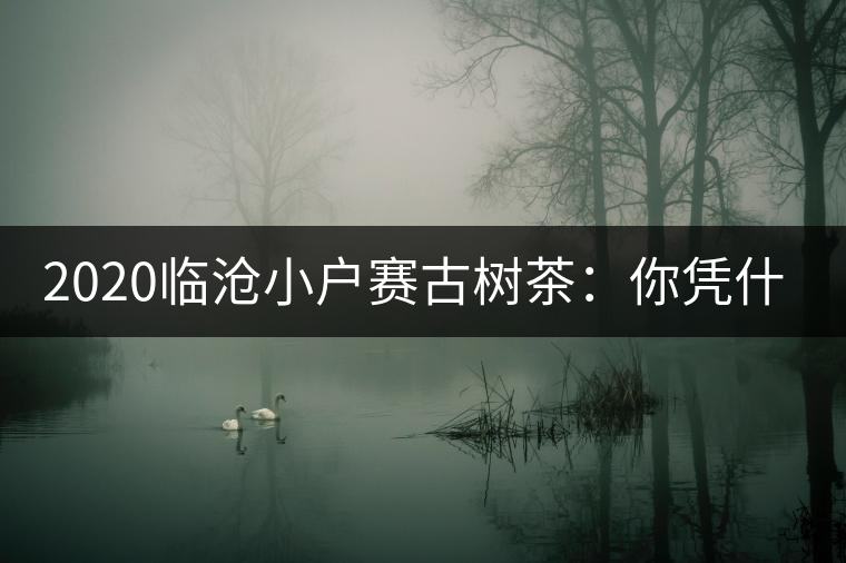 2020臨滄小戶賽古樹茶：你憑什么當冰島賣？