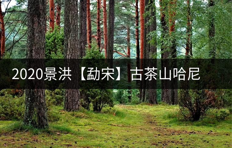 2020景洪【勐宋】古茶山哈尼年“嘎湯帕”圓滿結(jié)束，我們明年見