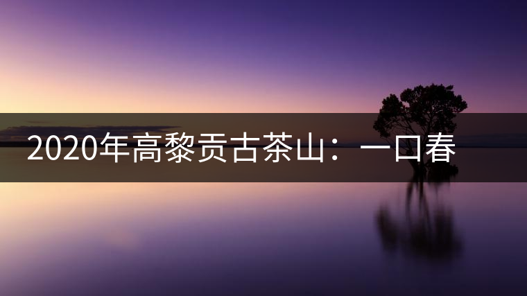 2020年高黎貢古茶山：一口春茶香，一口騰沖味