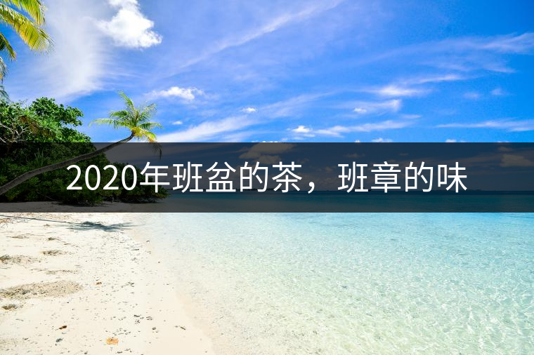 2020年班盆的茶，班章的味