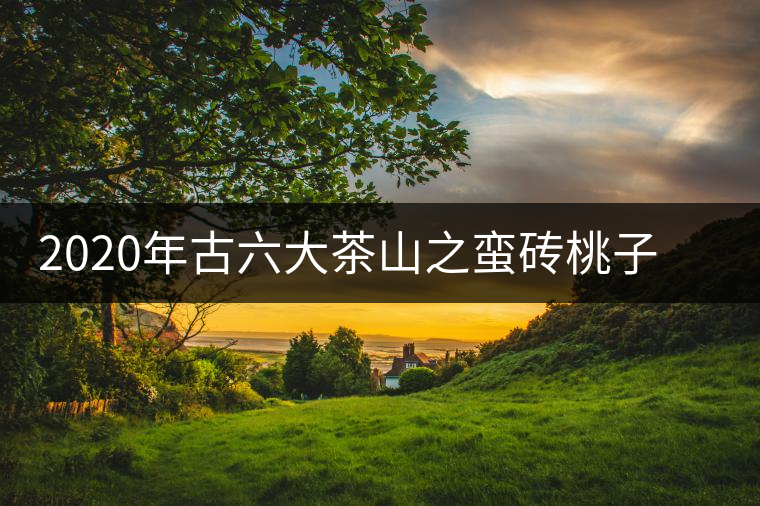 2020年古六大茶山之蠻磚桃子寨古樹茶，瓦龍古樹茶口感與特點