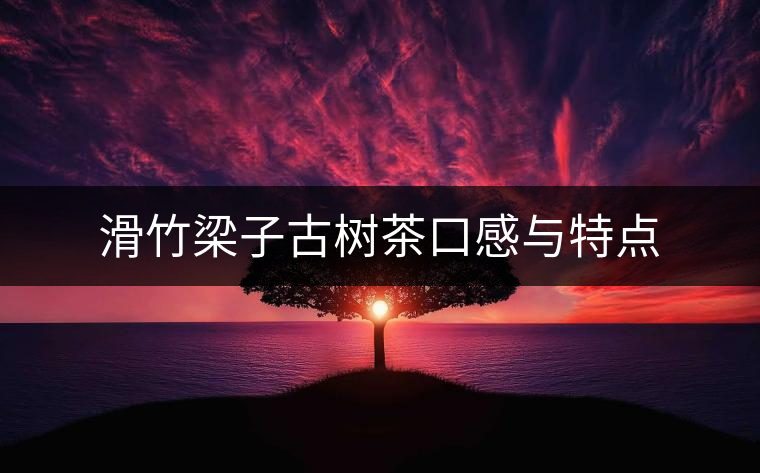 滑竹梁子古樹(shù)茶口感與特點(diǎn)