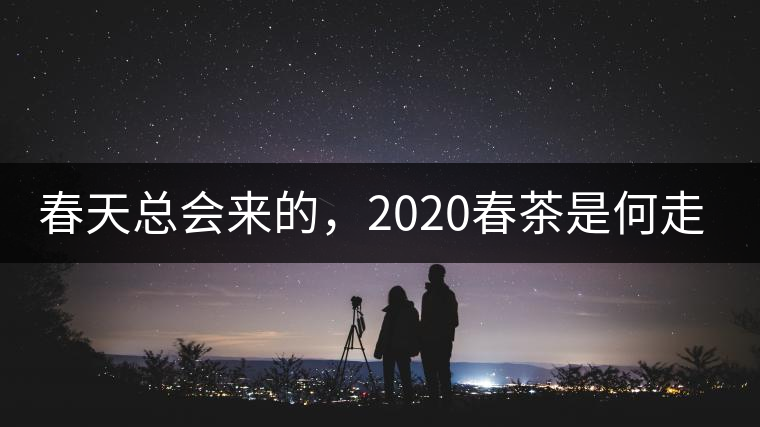 春天總會來的，2020春茶是何走勢？
