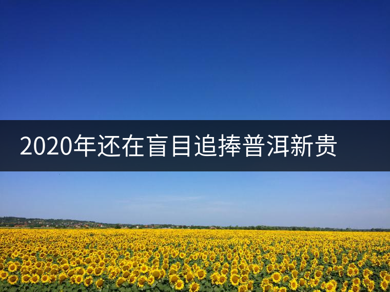 2020年還在盲目追捧普洱新貴“貓耳朵”？我們深入產(chǎn)區(qū)為你揭示最真實的“貓耳朵”！