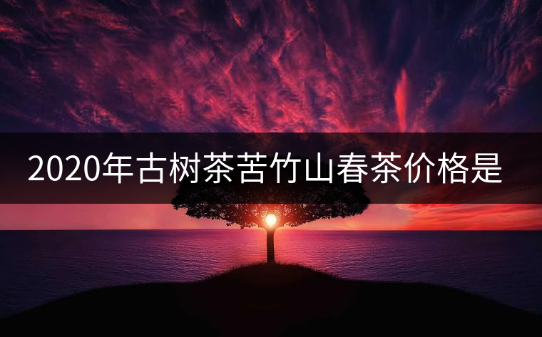 2020年古樹茶苦竹山春茶價(jià)格是多少？