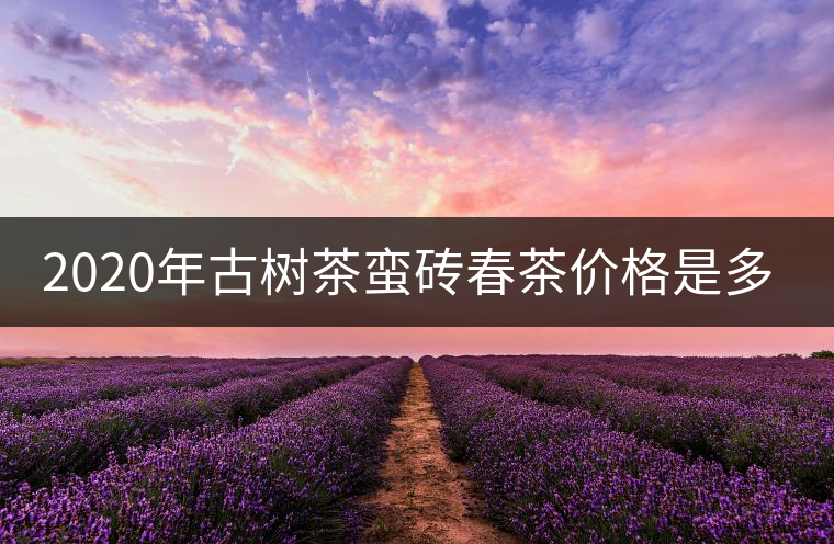 2020年古樹茶蠻磚春茶價格是多少？