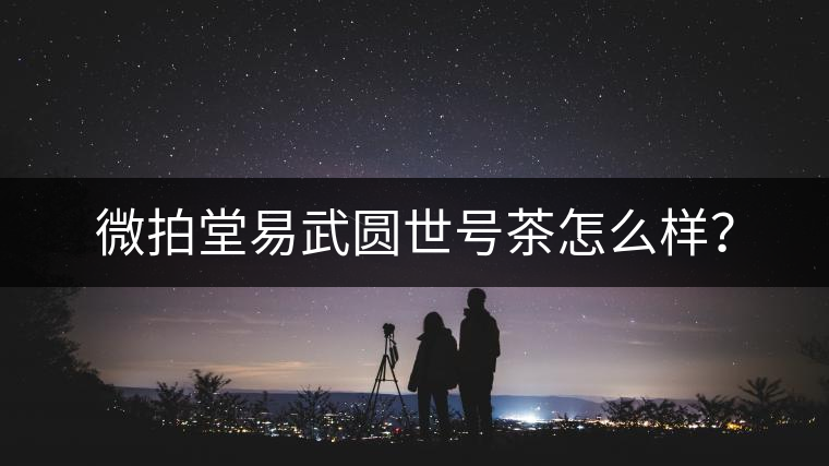 微拍堂易武圓世號(hào)茶怎么樣？