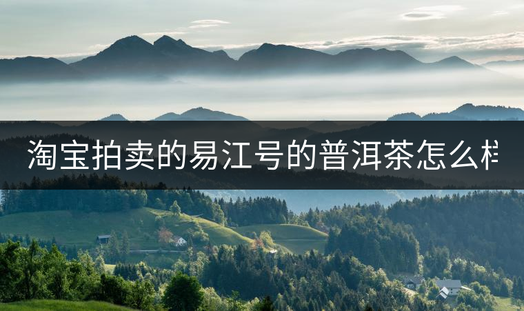 淘寶拍賣的易江號的普洱茶怎么樣？