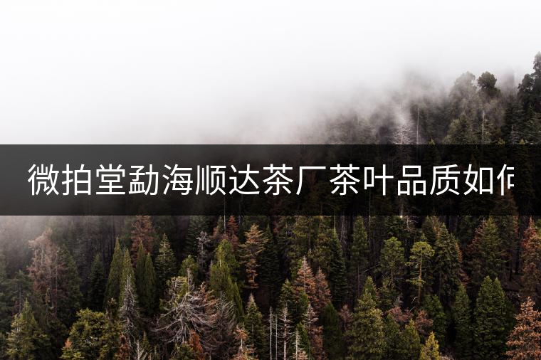 微拍堂勐海順達(dá)茶廠茶葉品質(zhì)如何？